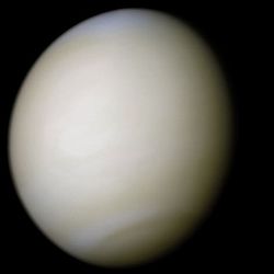 Venus in approximately true-color, a nearly uniform pale cream, although the image has been processed to bring out details.[1] The planet's disk is about three-quarters illuminated. Almost no variation or detail can be seen in the clouds.