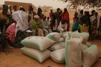 Emergency relief programme in Niger 2