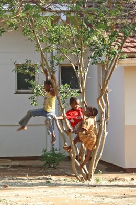 Children from Tlokweng, Botswana, climbing a tree